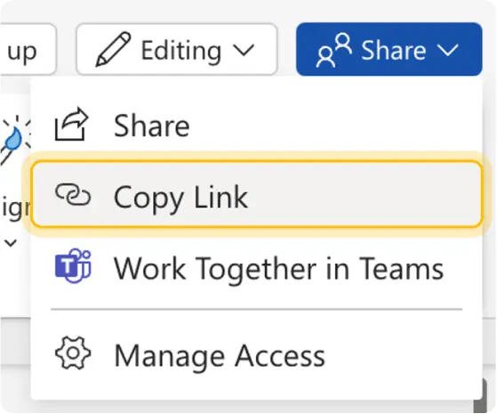 Get URL from the Microsoft Word