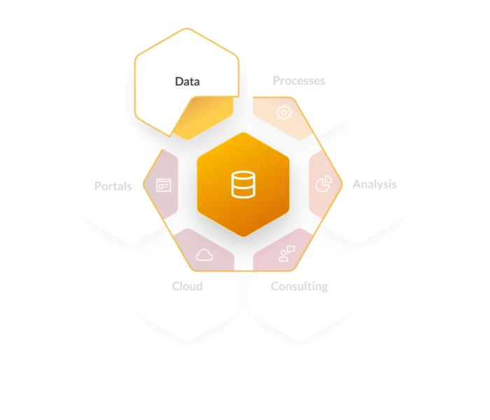 Hexagonal infographic representing key digital workplace services